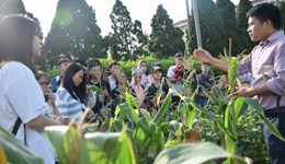 Sinh viên năm nhất Công nghệ sinh học chất lượng cao hào hứng trải nghiệm ngoại khóa